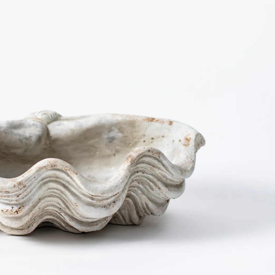 Giant Shell - White