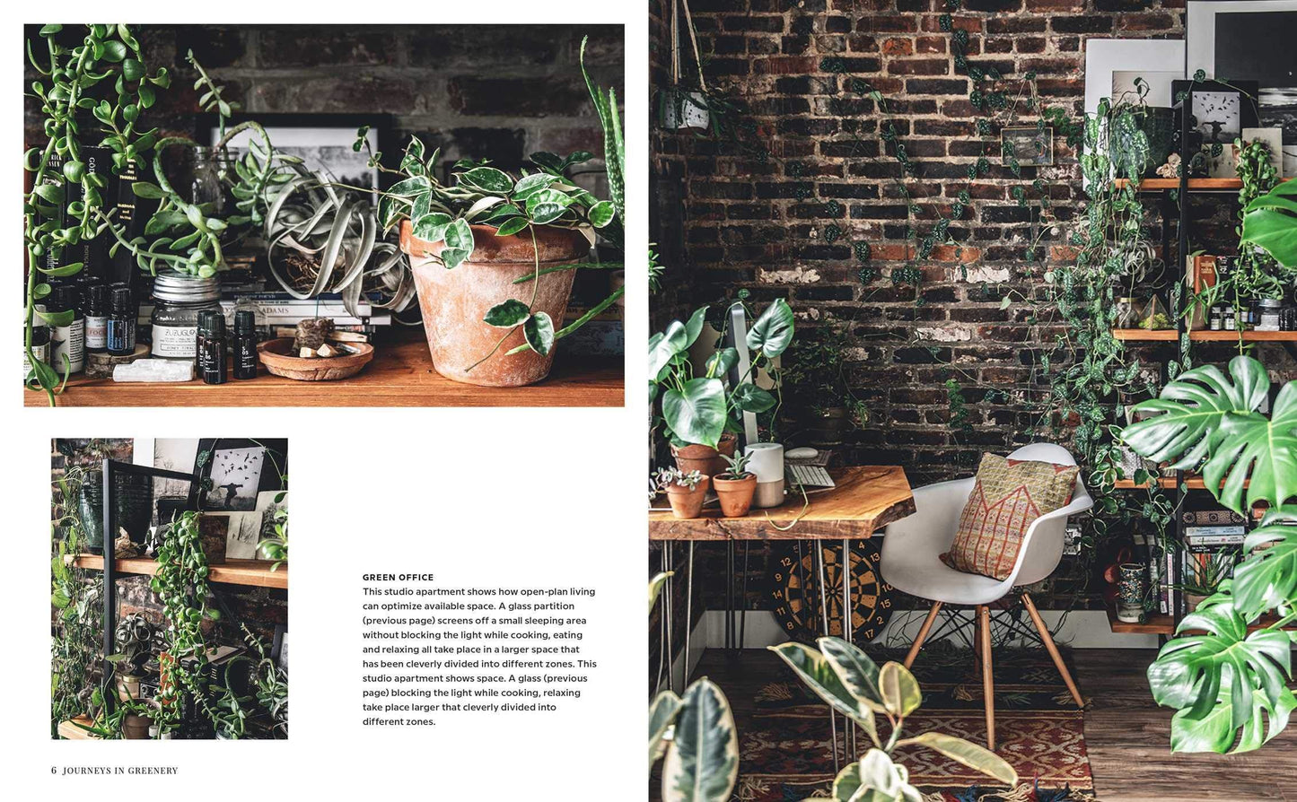 WILD INTERIORS: BEAUTIFUL PLANTS IN BEAUTIFUL PLACES