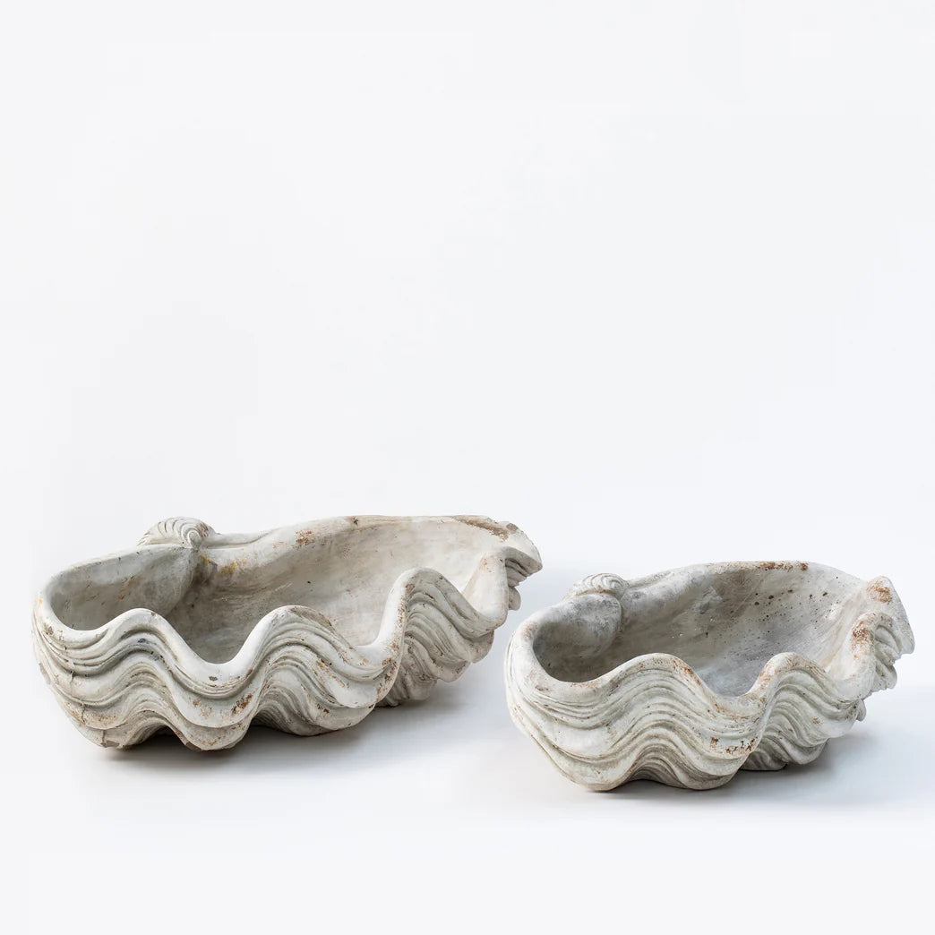 Giant Shell - White