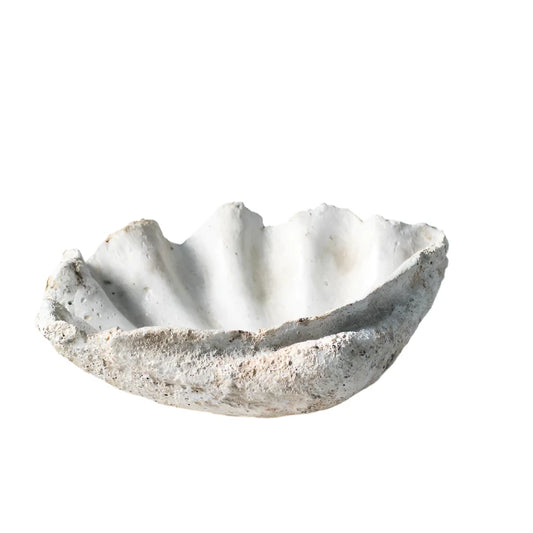 Large clam shell