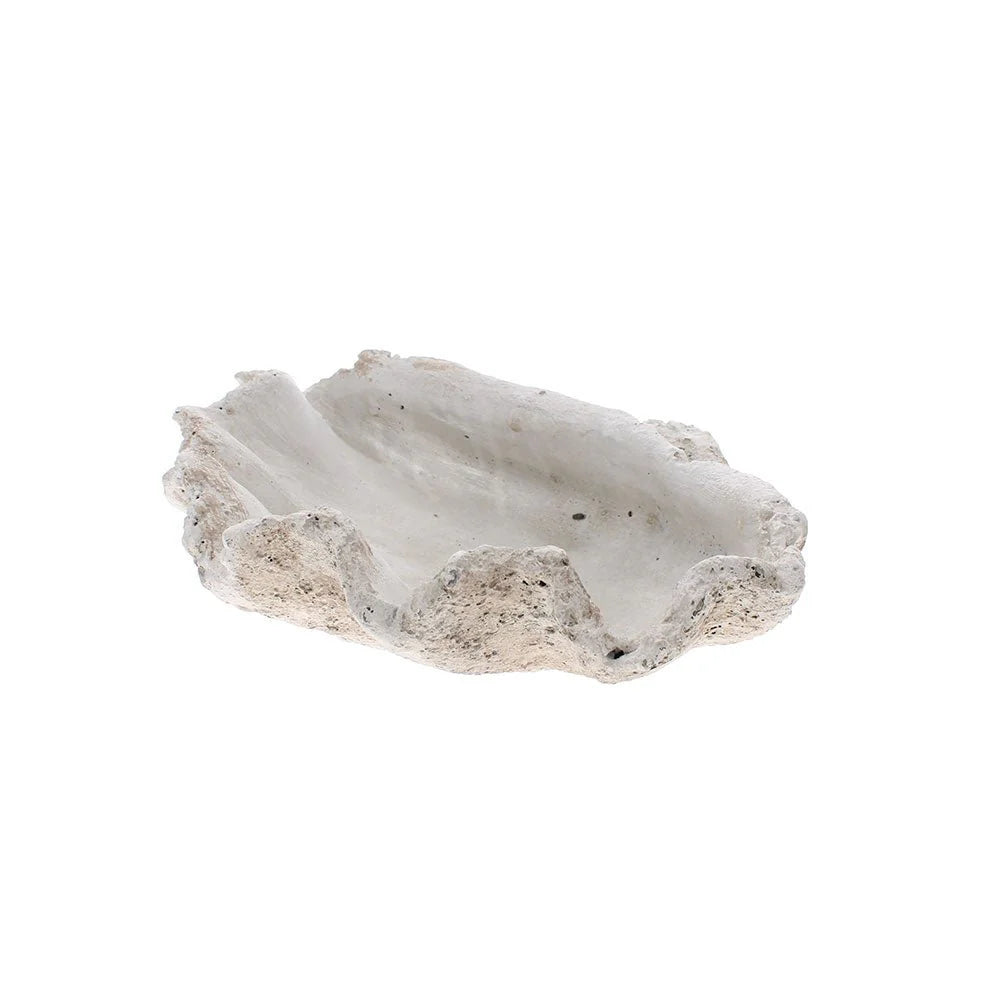 Large clam shell