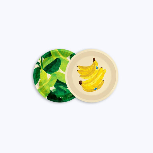 Set of two Tropical Coasters